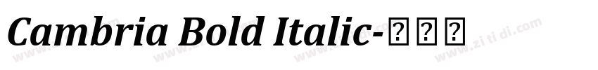 Cambria Bold Italic字体转换